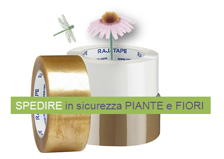 Come spedire in sicurezza le tue piante e i tuoi fiori