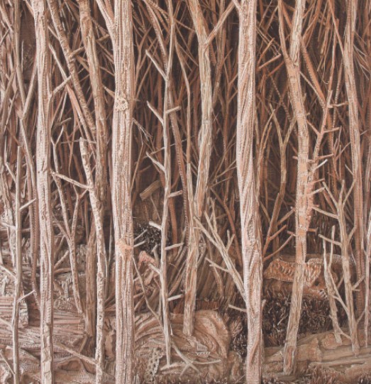 FORET Eva Jospin
