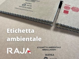 Che cos’è l’etichettatura ambientale e come introdurla in azienda