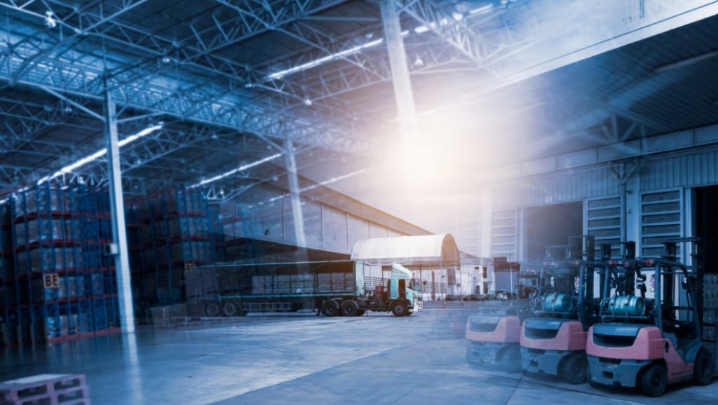 audit logistica